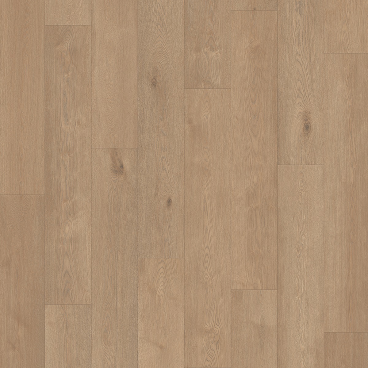 Chatillon Oak Pistaccio Shell