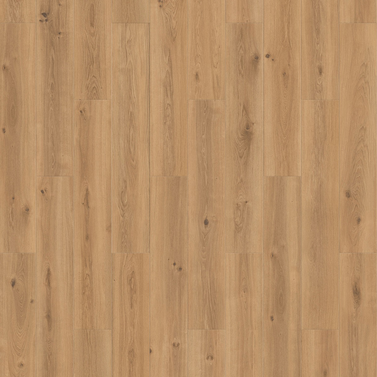 Tarkett 24514043 Creek Oak Brown