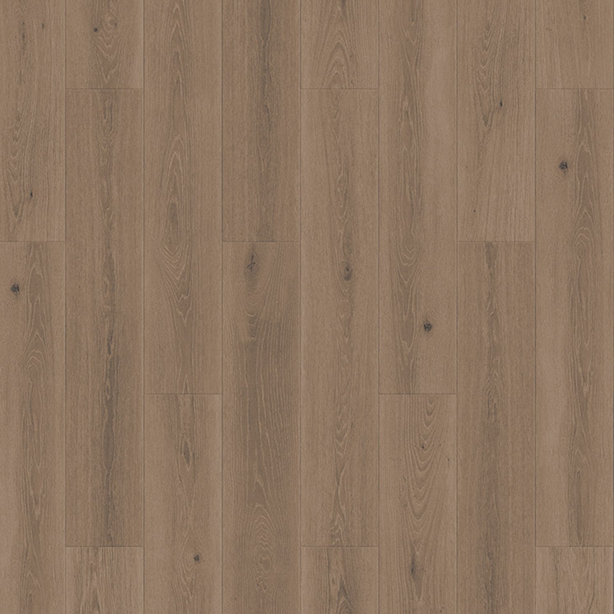 Highland Oak Light Grey